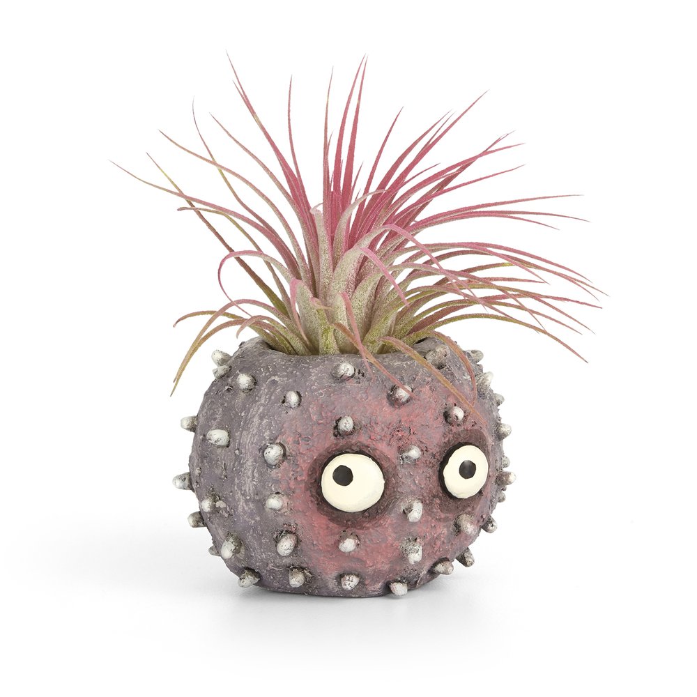 Uni Urchin Planter