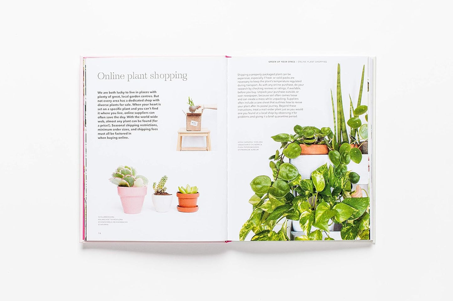 How To Raise A Plant Book