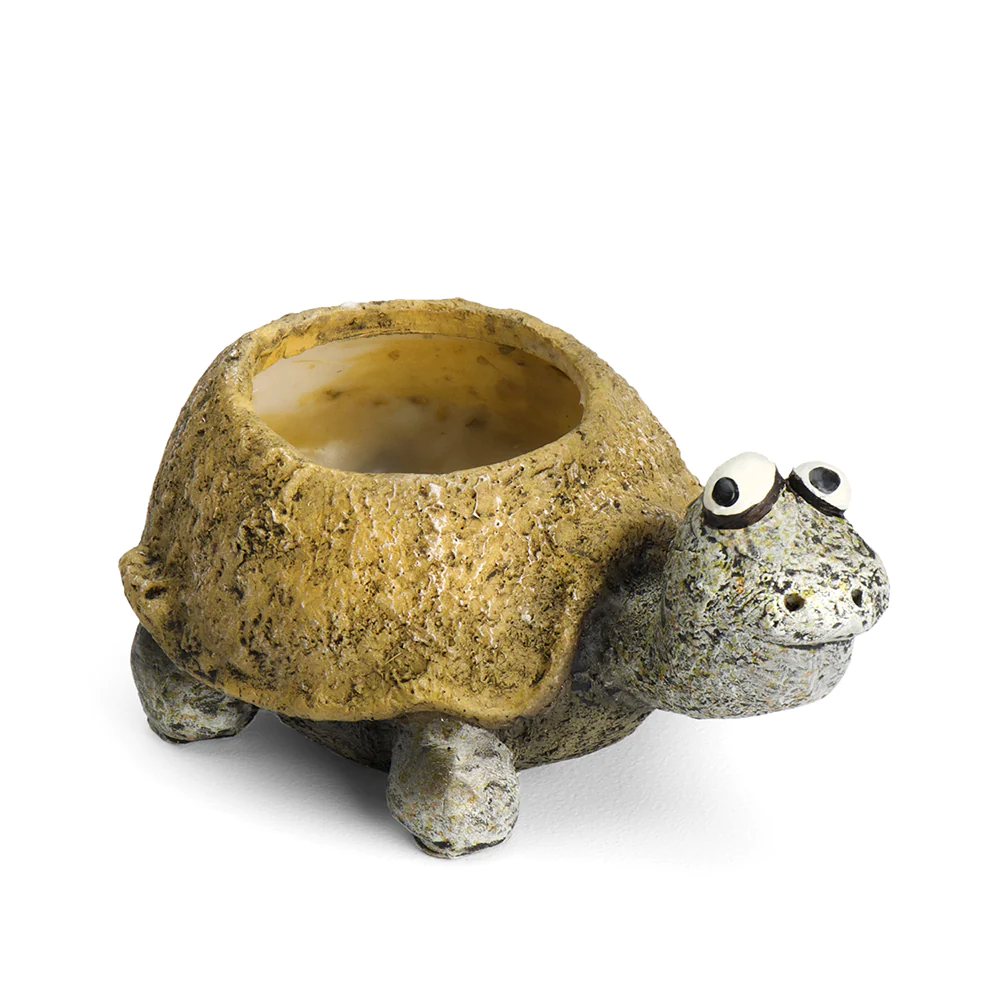 Baby Tortoise Mini Planter