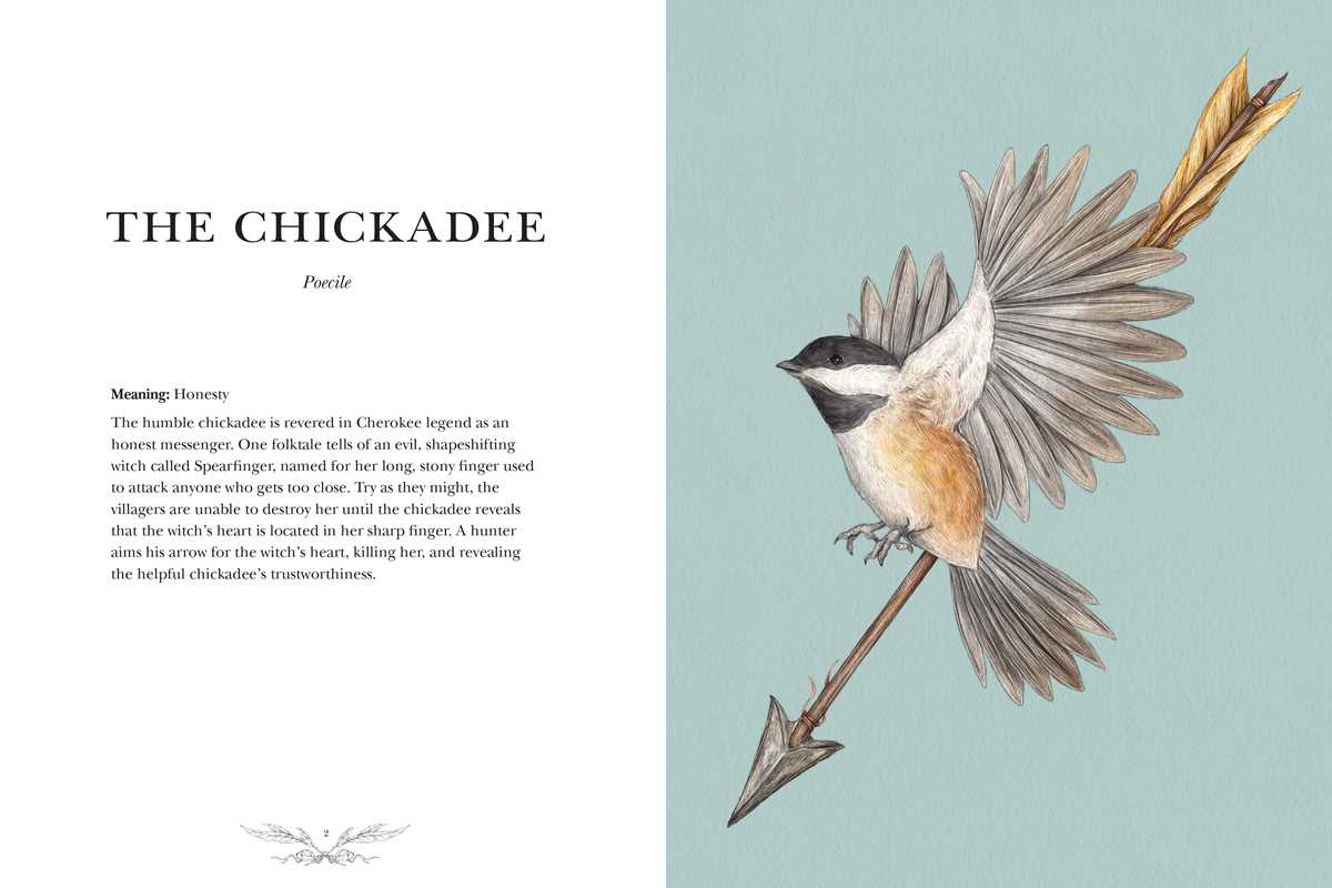 Ornithography Book