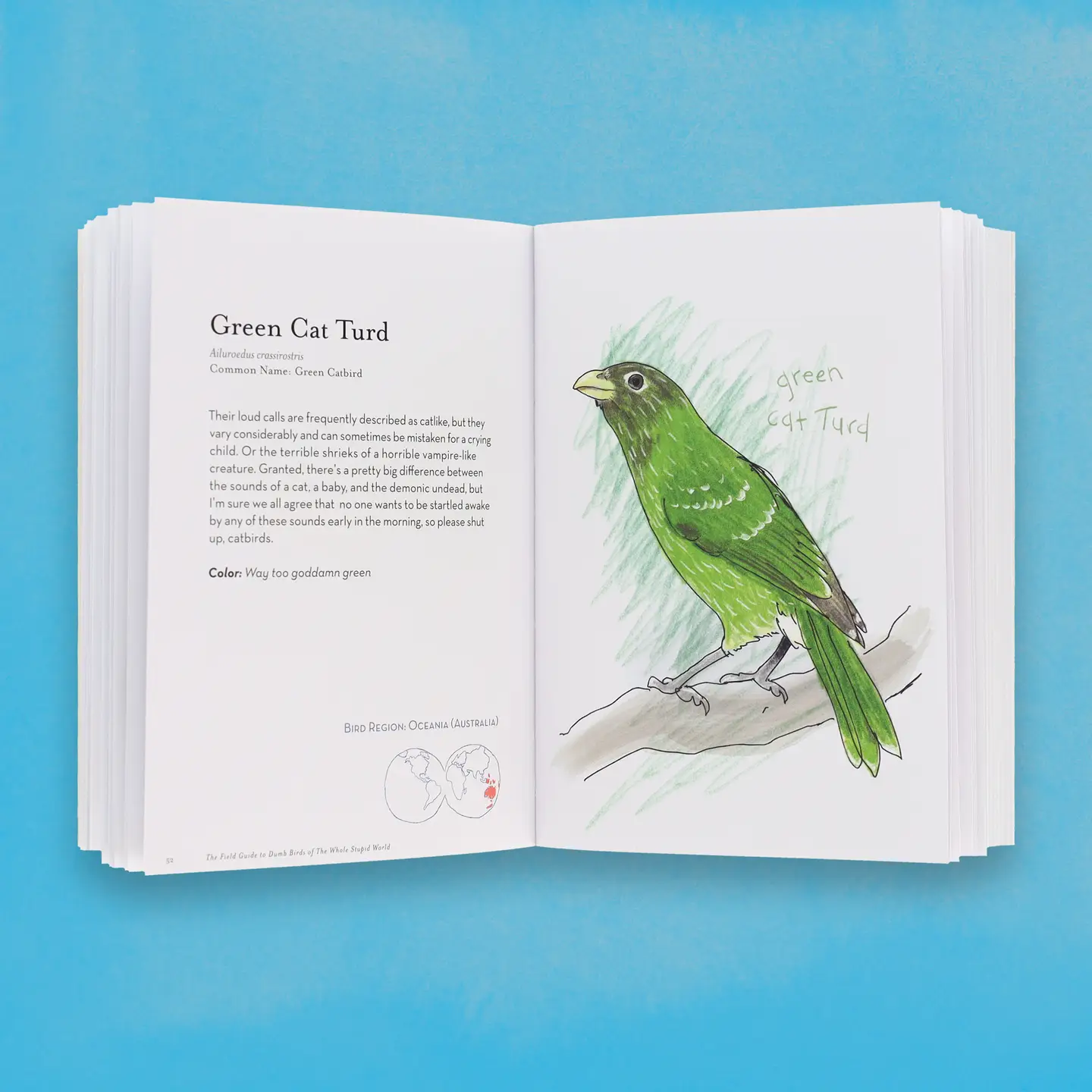 The Field Guide To Dumb Birds of the Whole World Book