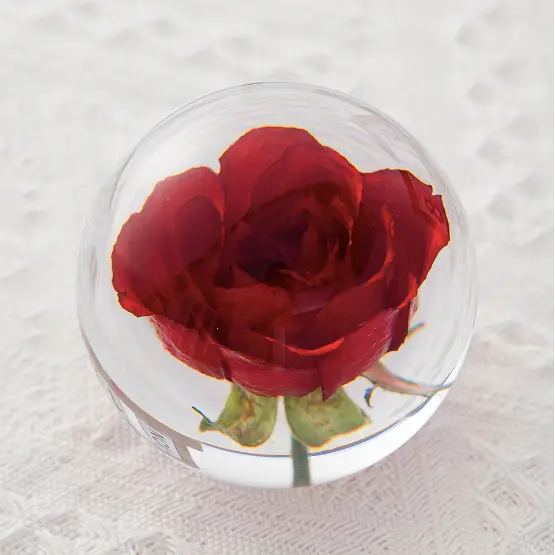 Natural Flower Glass Resin - Red Rose