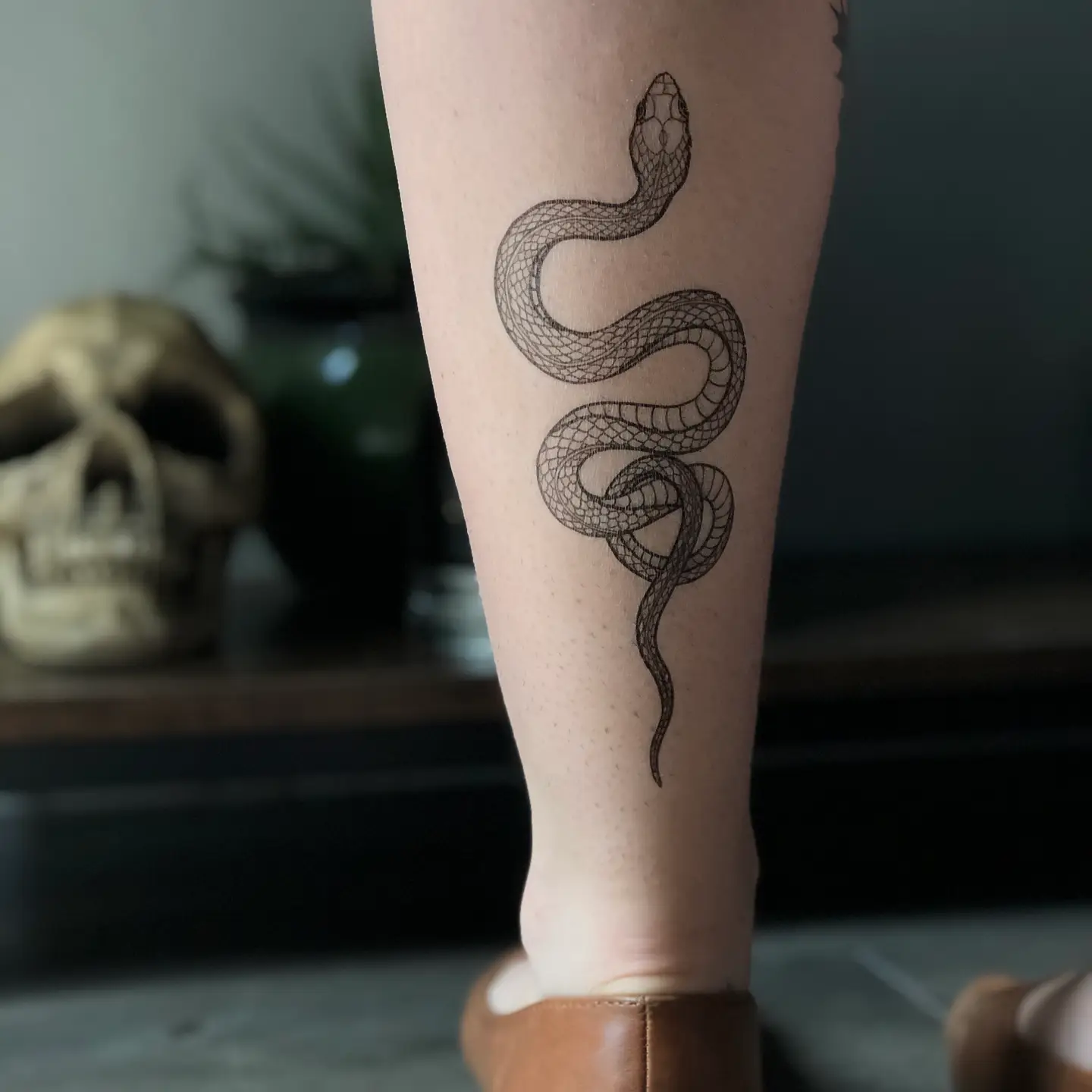 Garden Snake Temporary Tattoo