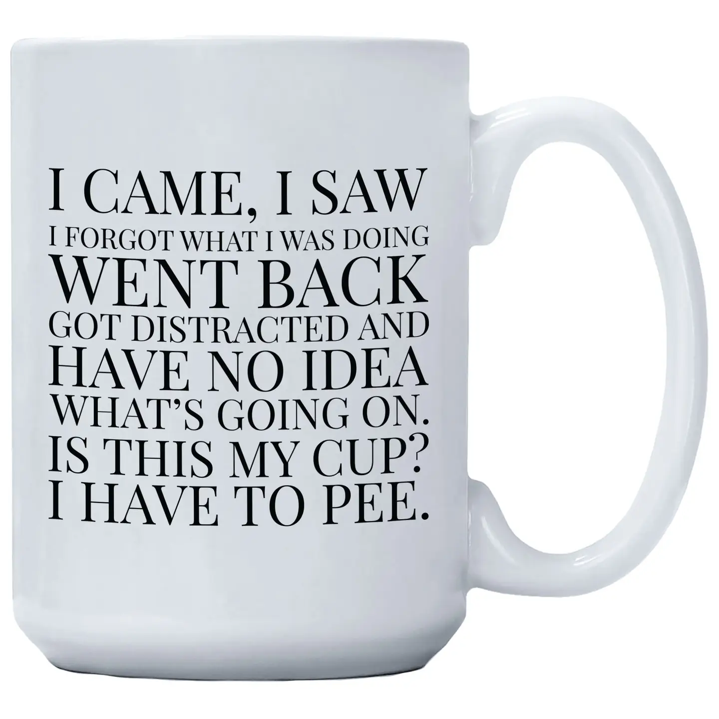 Mug - I Came, I Saw, I Forgot What I Was Doing