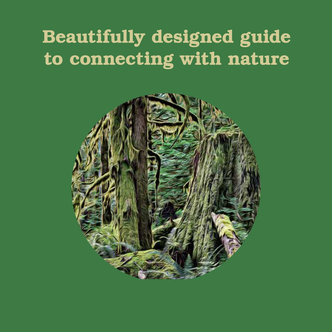 Forest School For Grown Ups Books