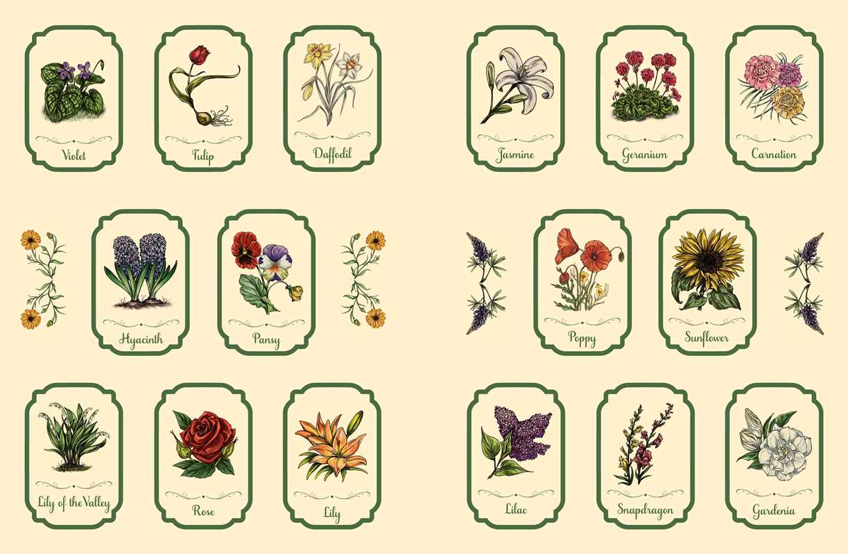 Green Witch's Sticker Book