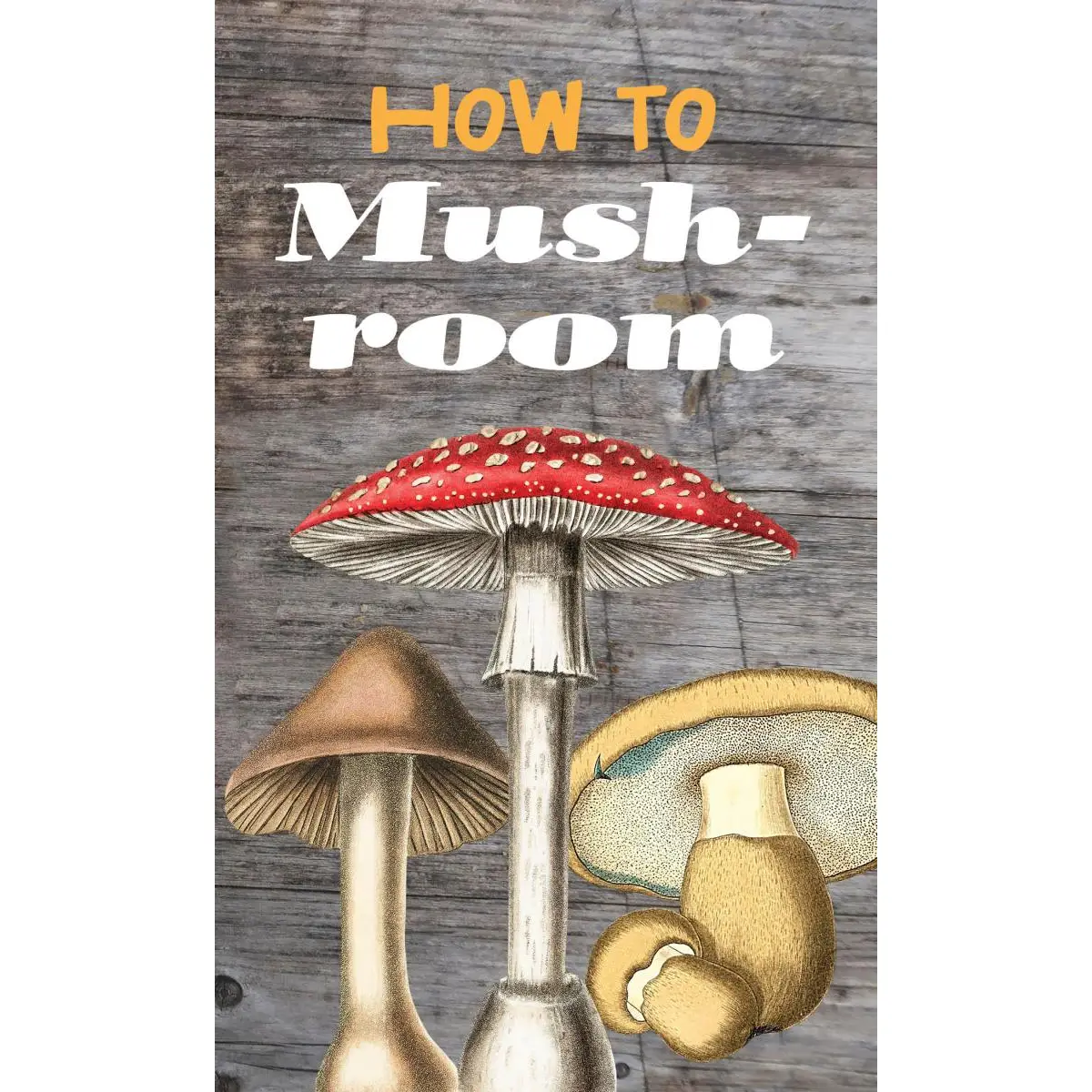 How to Mushroom Pamphlet