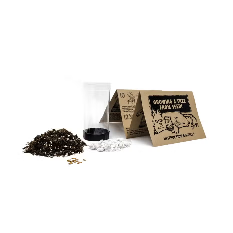 Quaking Aspen Grow Kit