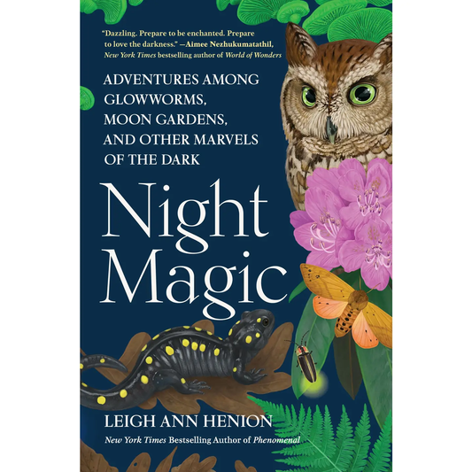 Night Magic Book