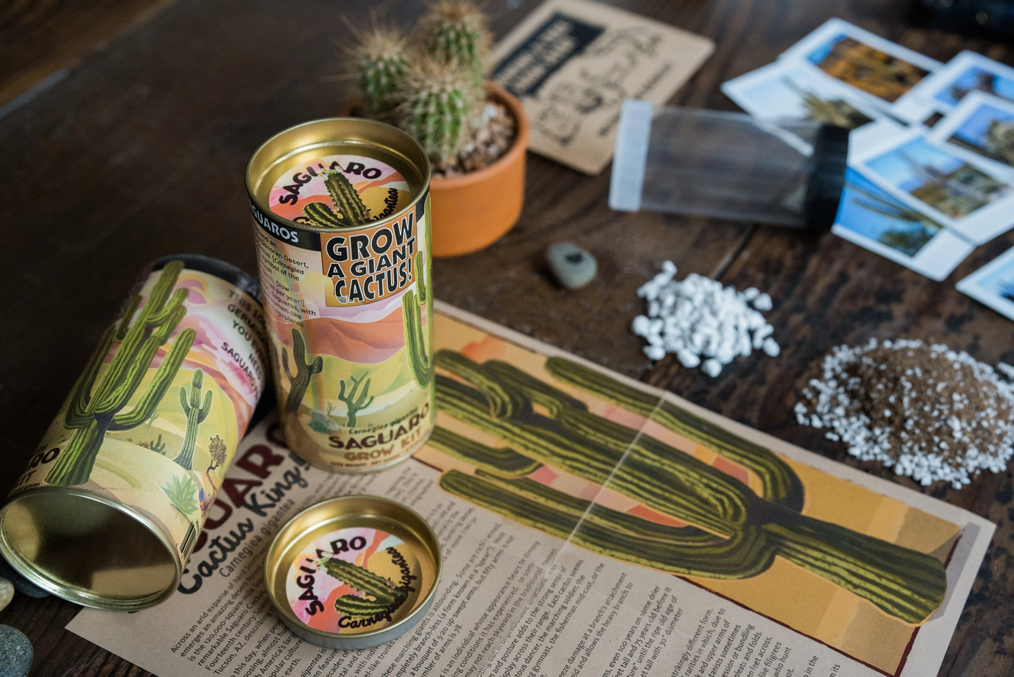 planting saguaro seeds Saguaro Cactus Seed Grow Kit – Weeds
