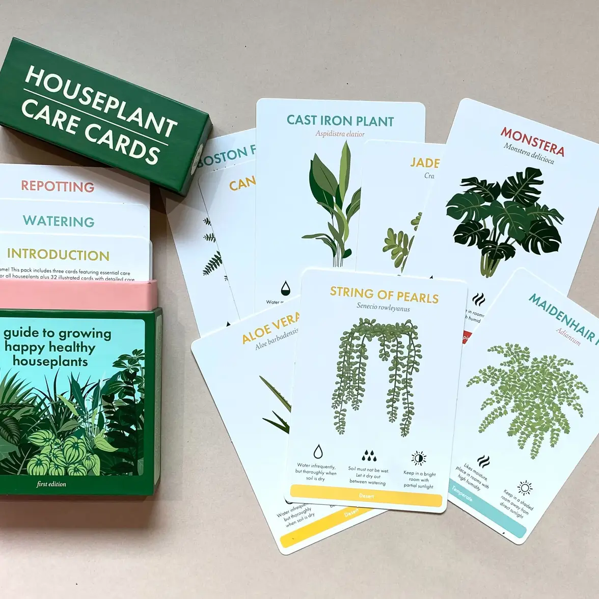 house plant care cards Houseplant Care Cards