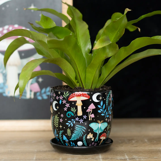 Dark Forest Ceramic Pot