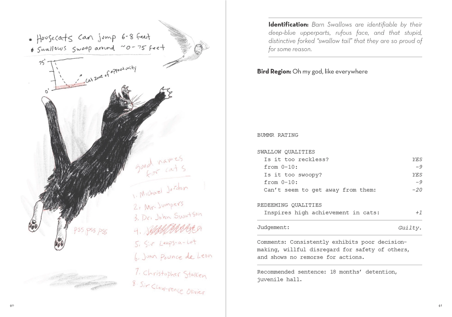 Dumb Birds Field Guide Book