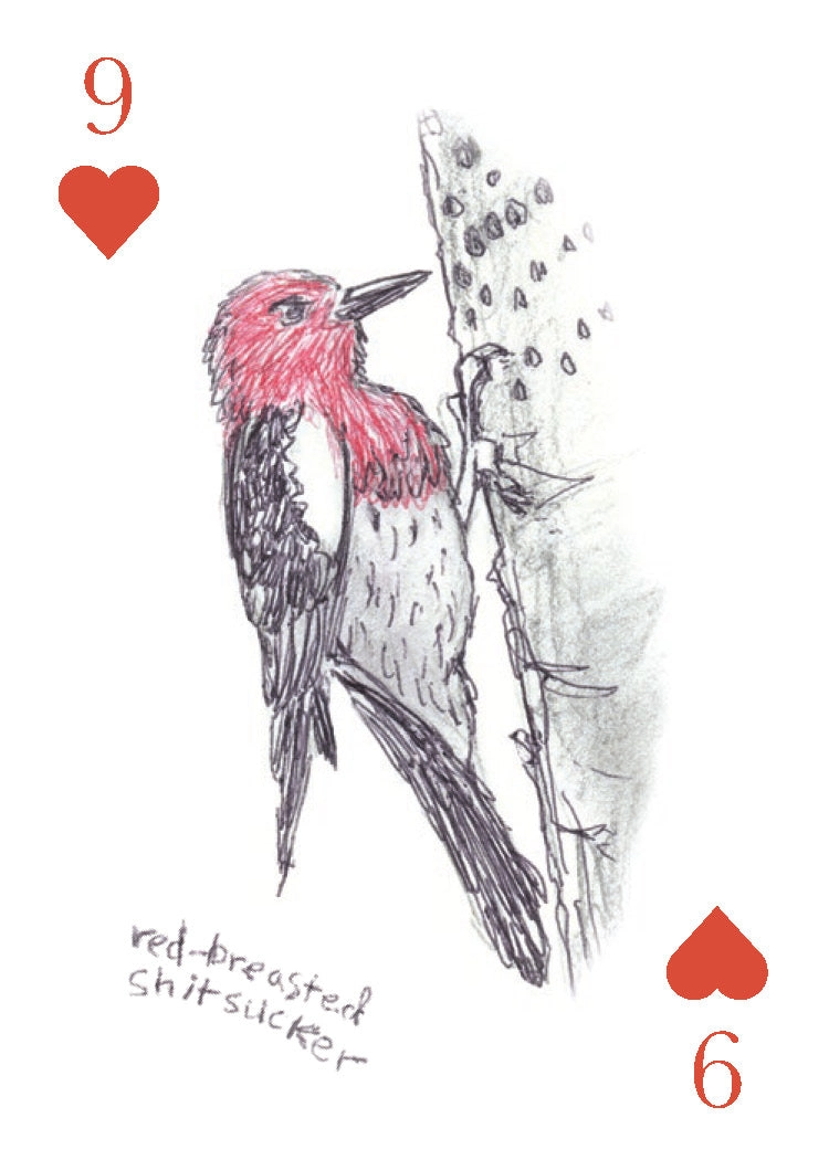 Field Guide To Dumb Birds Playing Cards