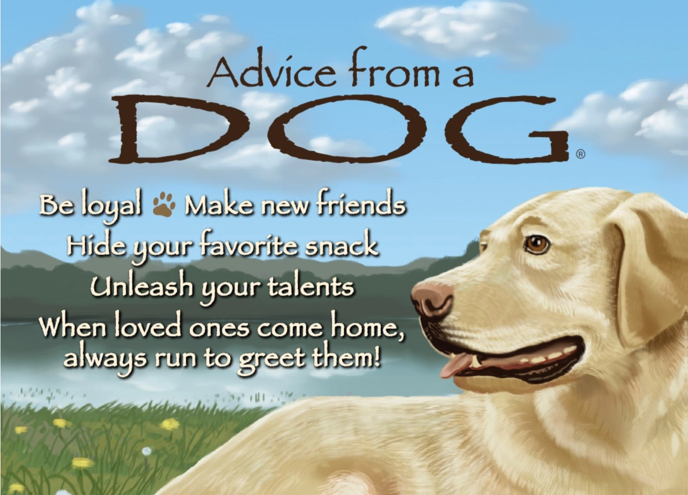 Magnet Advice from a Dog