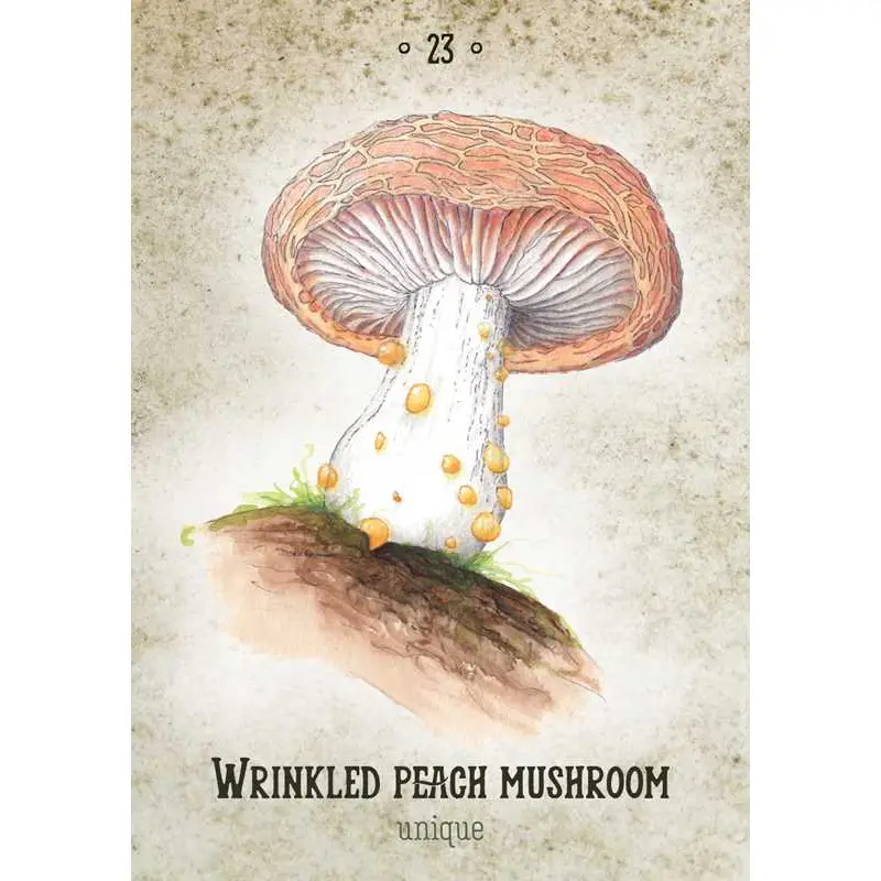 Mushroom Spirit Oracle Cards