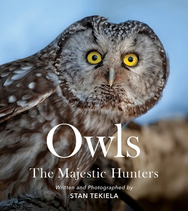 Owls: The Majestic Hunters Book