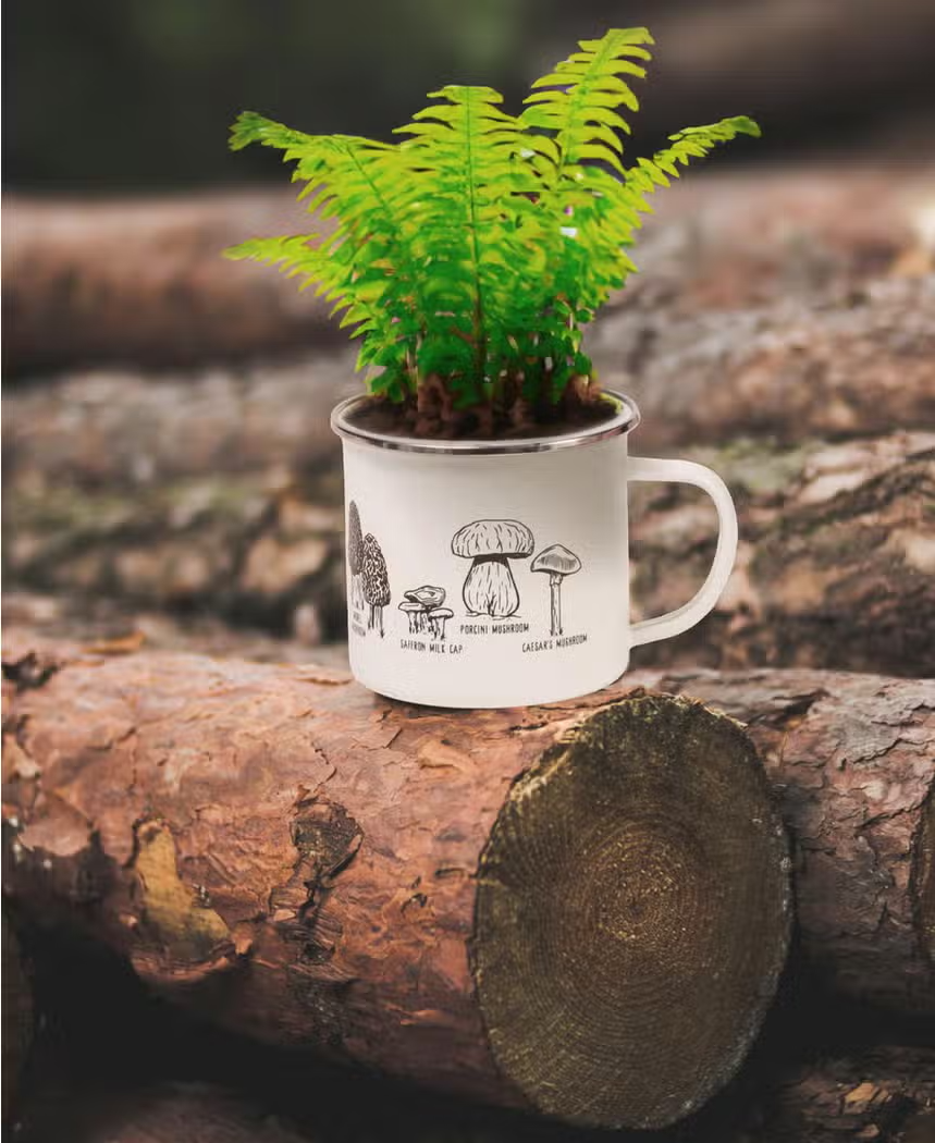 Mushroom Botanical Enamel Mug