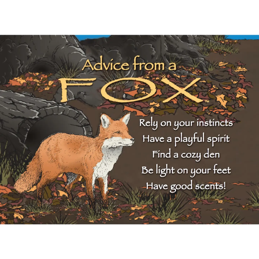 Magnet Advice from a Fox