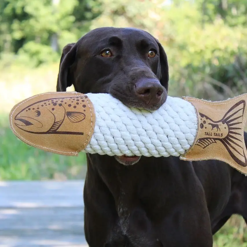 Natural Leather Trout Rope Tug Dog Toy 15"