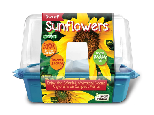 Dwarf Sunflowers Sprouter Terrarium