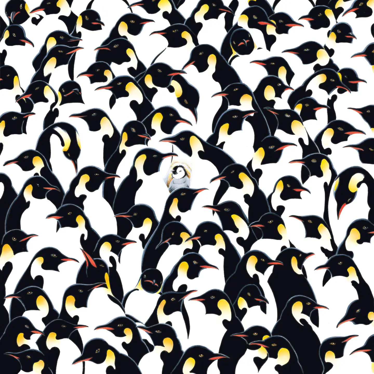 Penguins Doubled Sided Puzzle 500pc