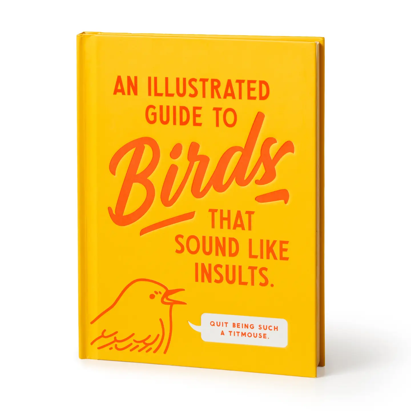 Brass Monkey An Illustrated Guide To Birds Book