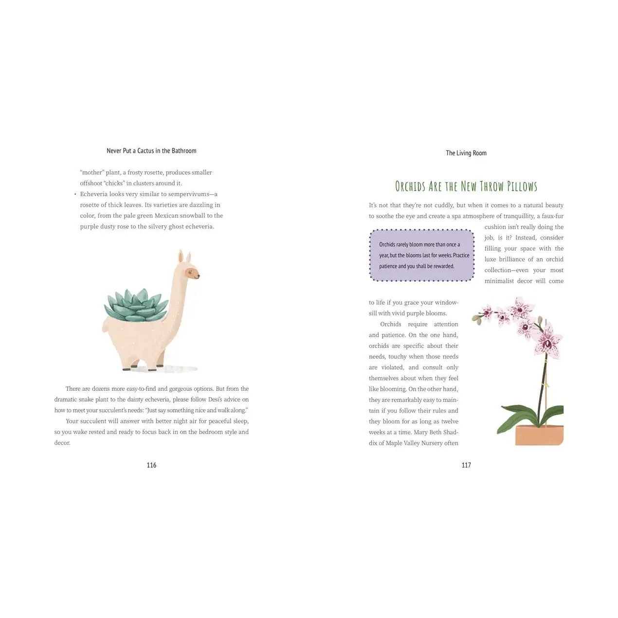 Never Put A Cactus in the Bathroom Book