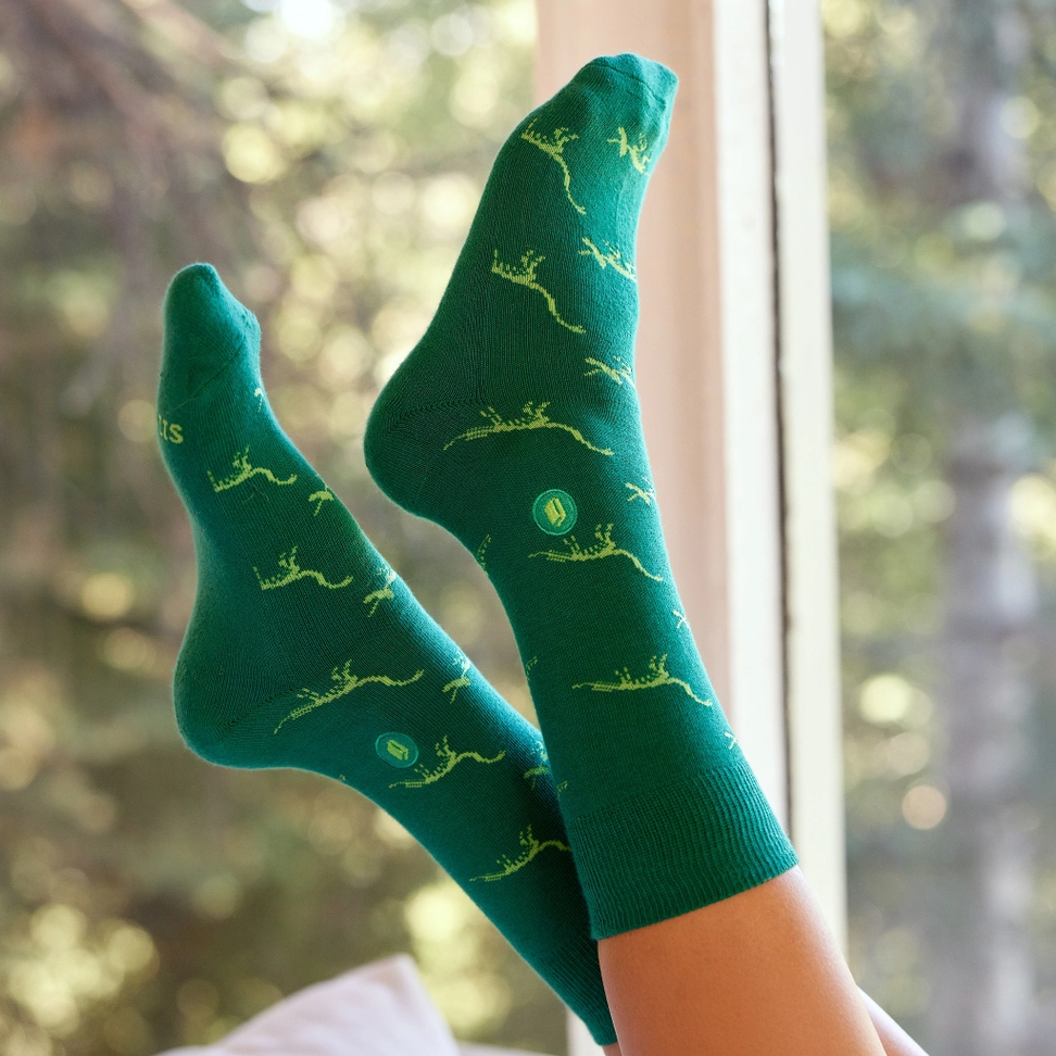 Socks That Give Books Dinosaur