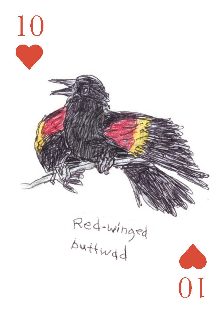 Field Guide To Dumb Birds Playing Cards