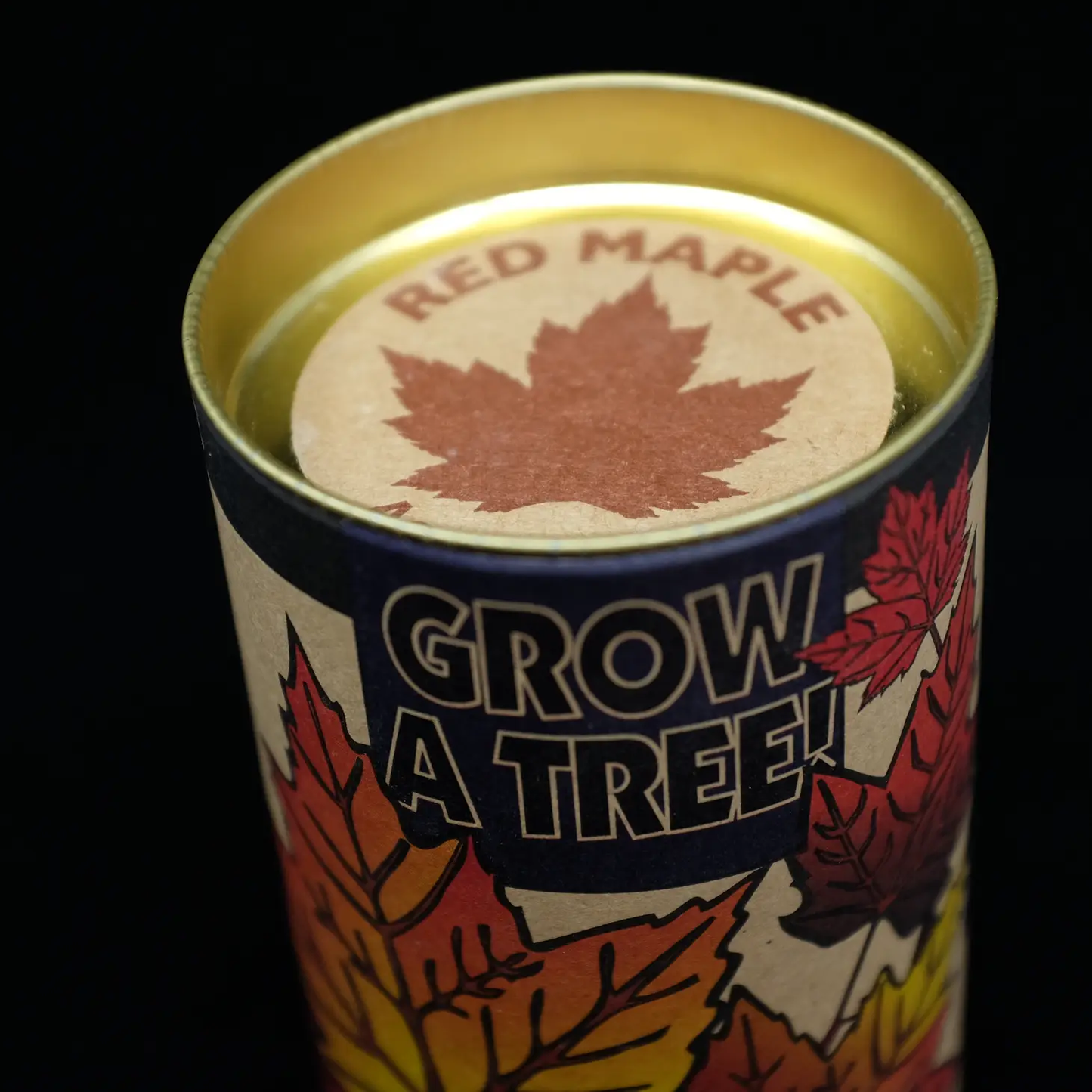 Red Maple Seed Grow Kit