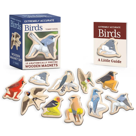 Extremely Accurate Birds Wooden Magnets