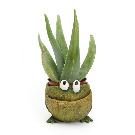 Planter Fred the Frog