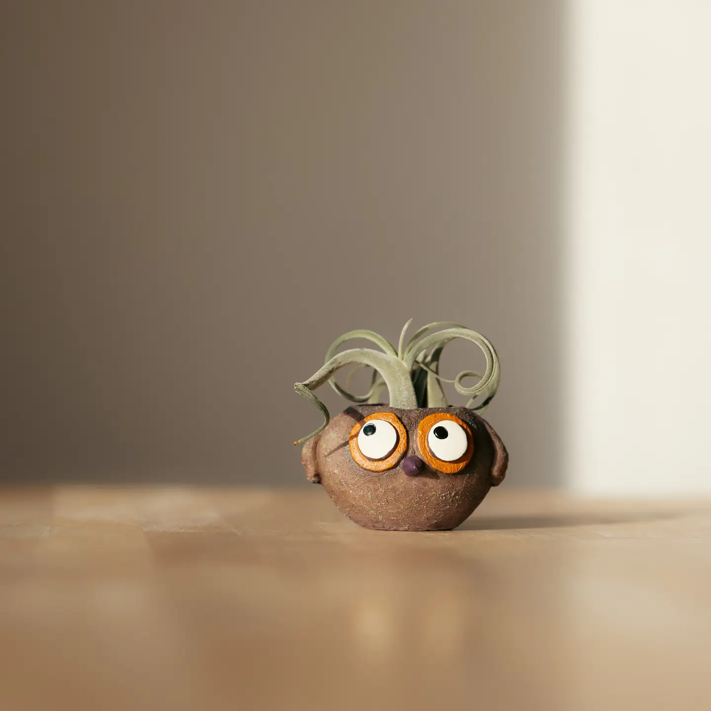 Baby Brown Owl Mini Planter