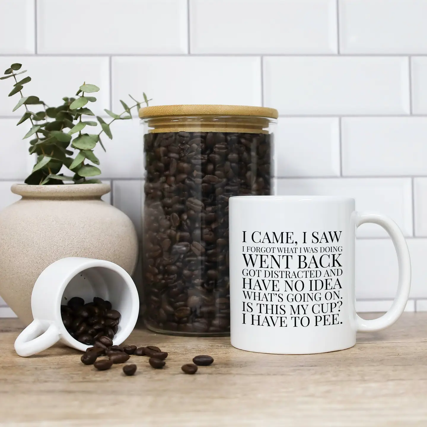 Mug - I Came, I Saw, I Forgot What I Was Doing