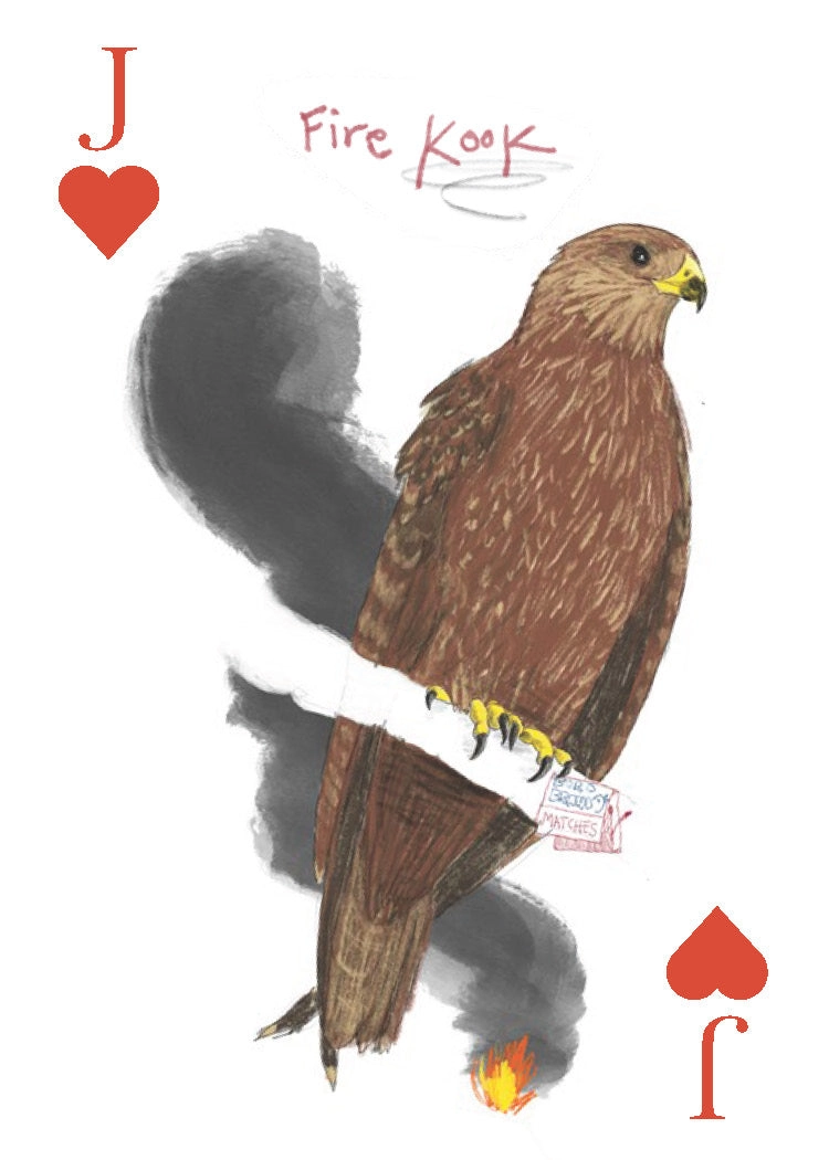 Field Guide To Dumb Birds Playing Cards