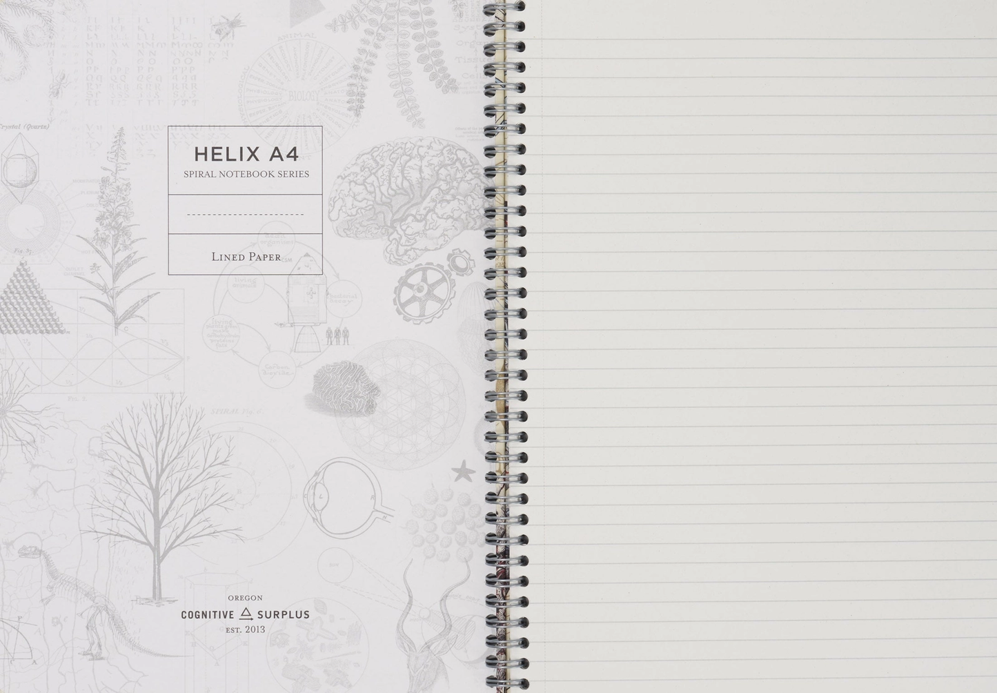 Honey Bee Spiral Notebook