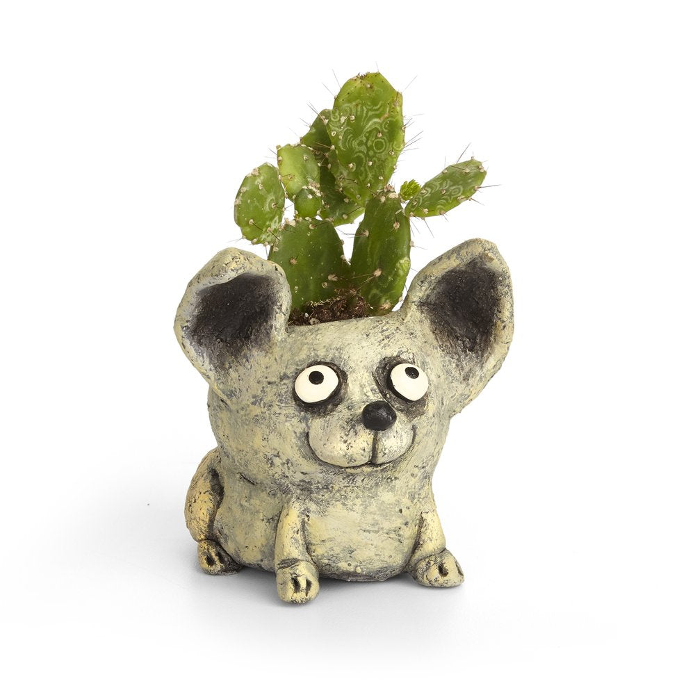 Chico Dog Planter