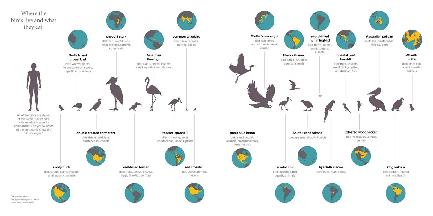 The Beak Book