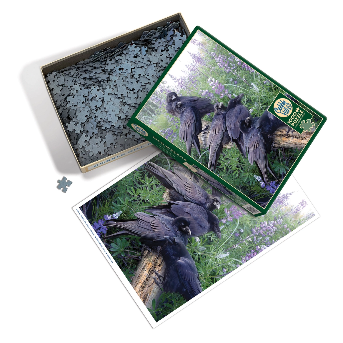 Raven Rendezvous Puzzle 1000pc
