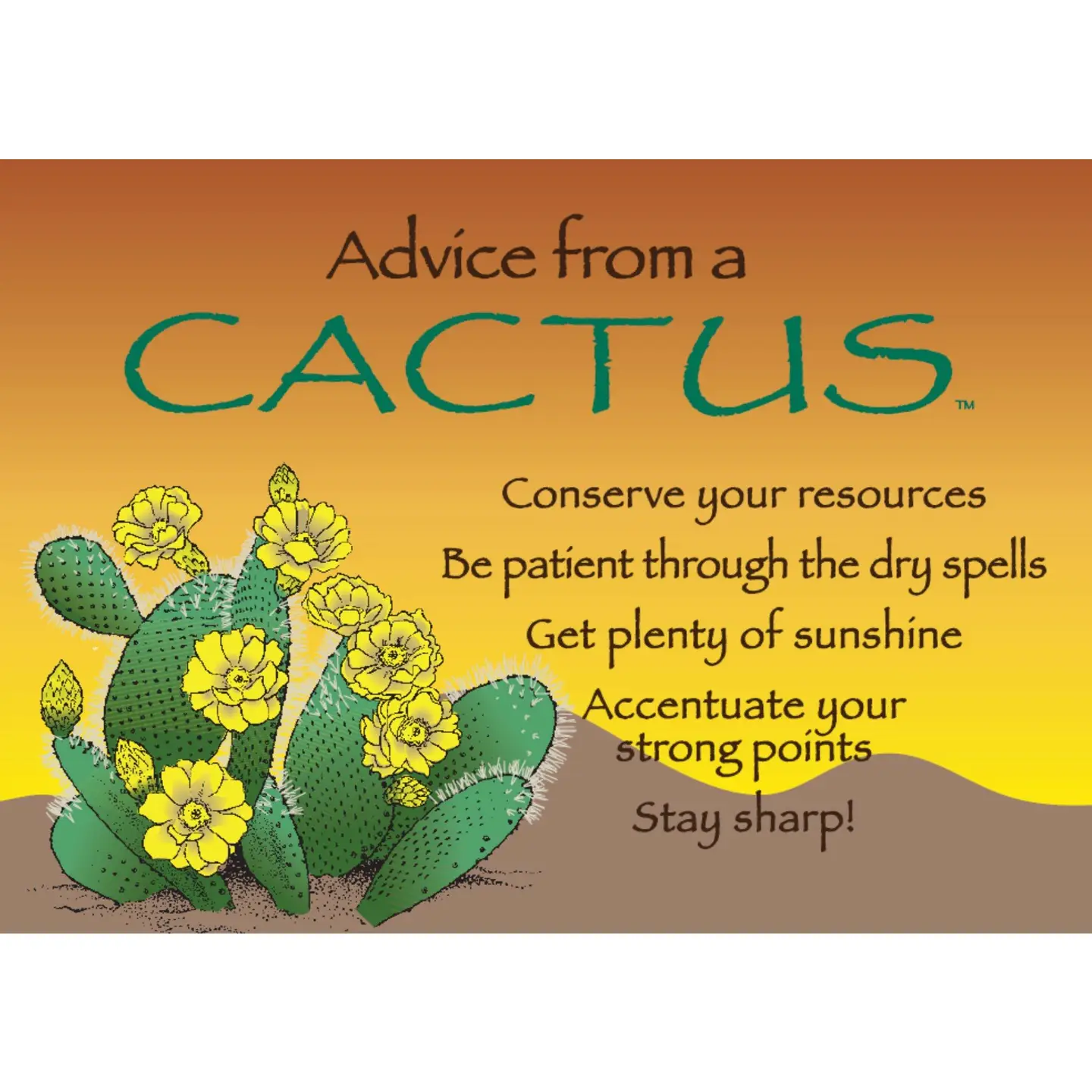 Magnet Advice from a Cactus