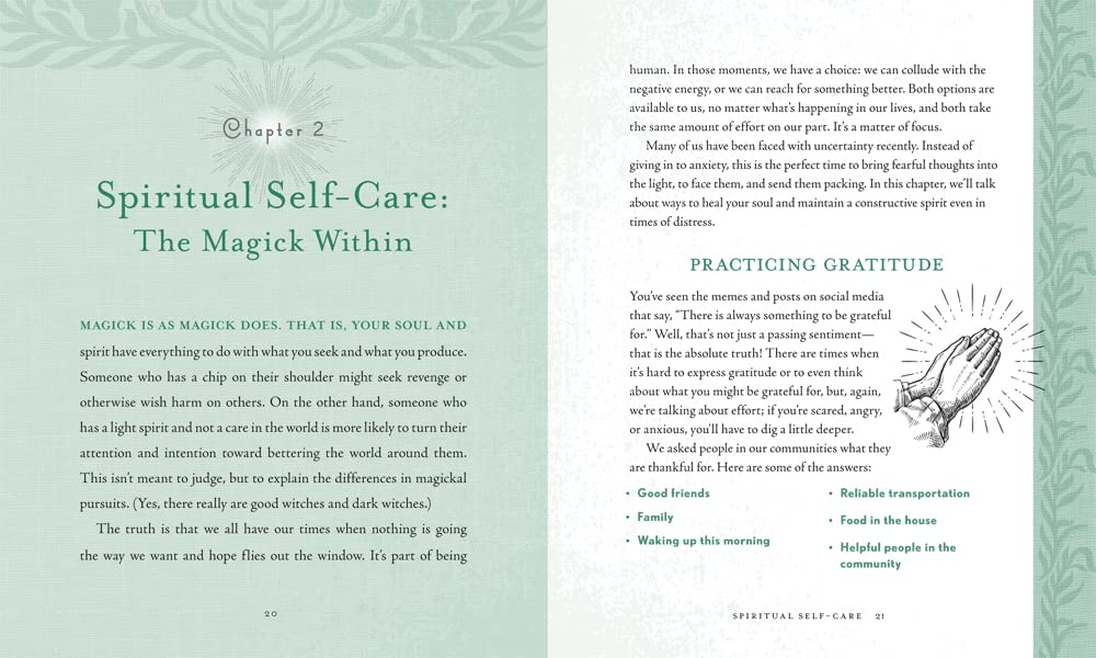 The Holistic Witch Book