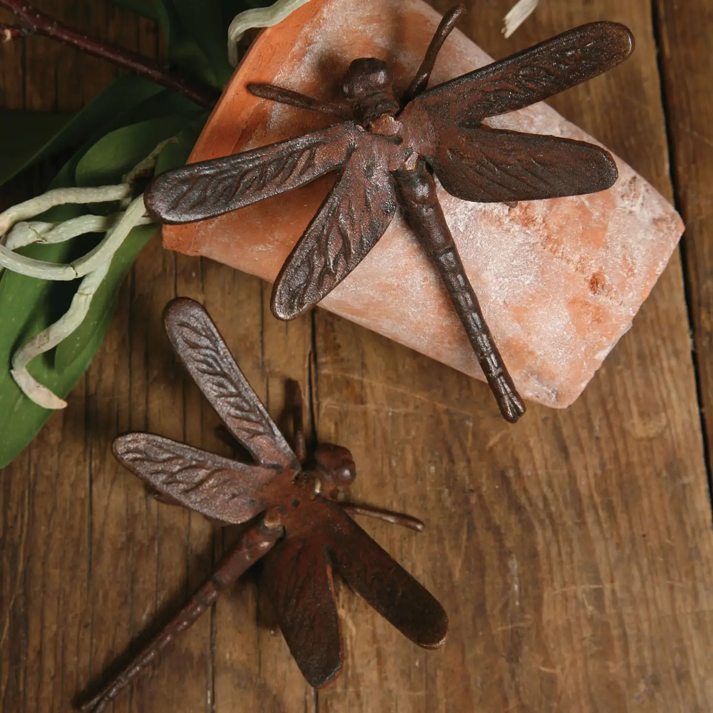 Cast Iron Dragonfly