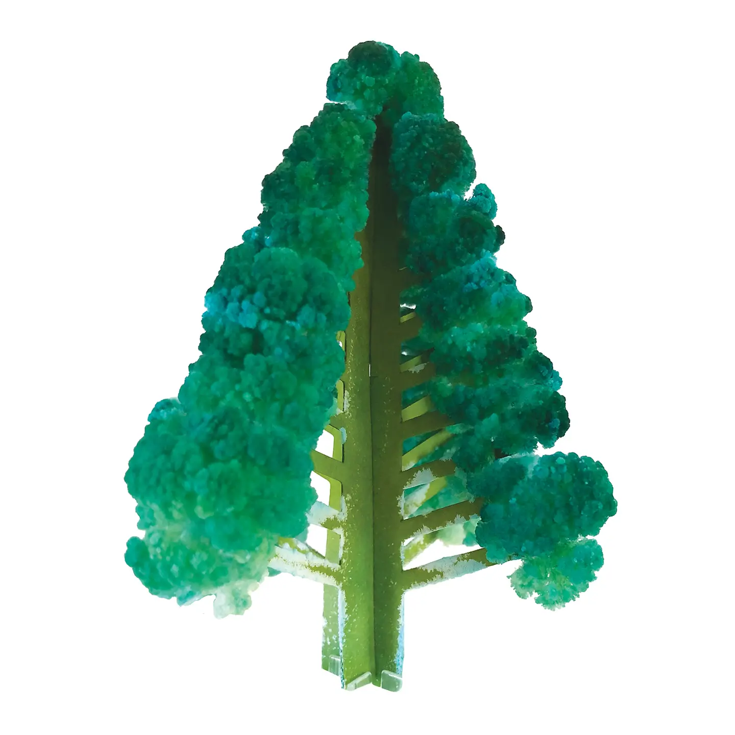 Crystal Growing Tree Douglas Fir