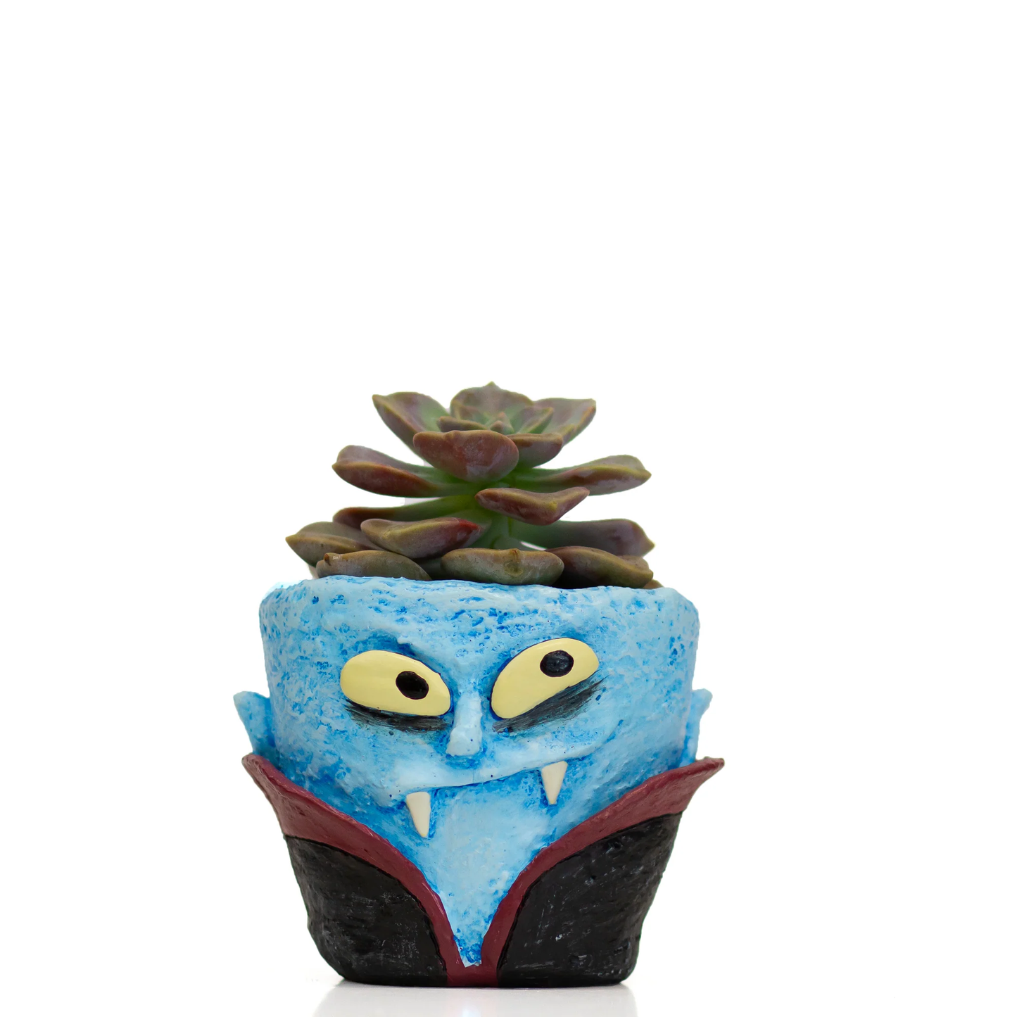 Count Succula Vampire Planter