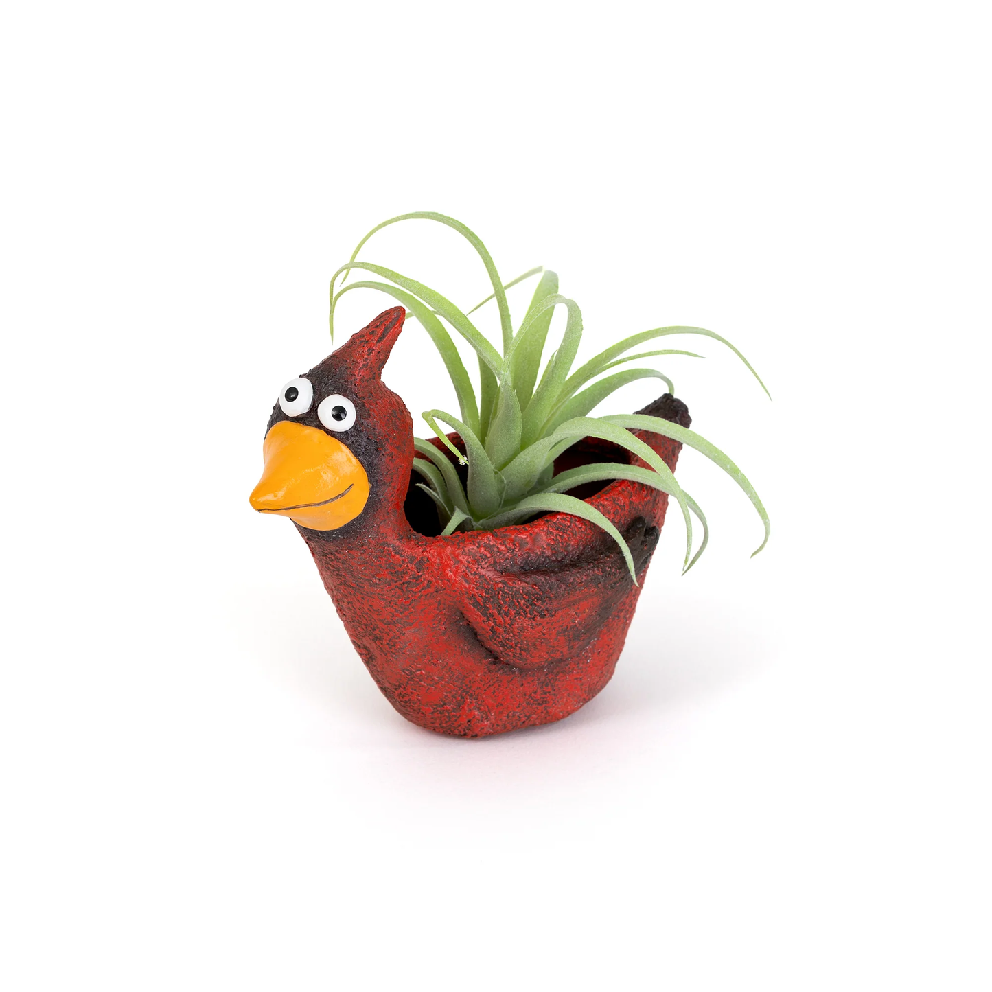 Blaze Cardinal Planter