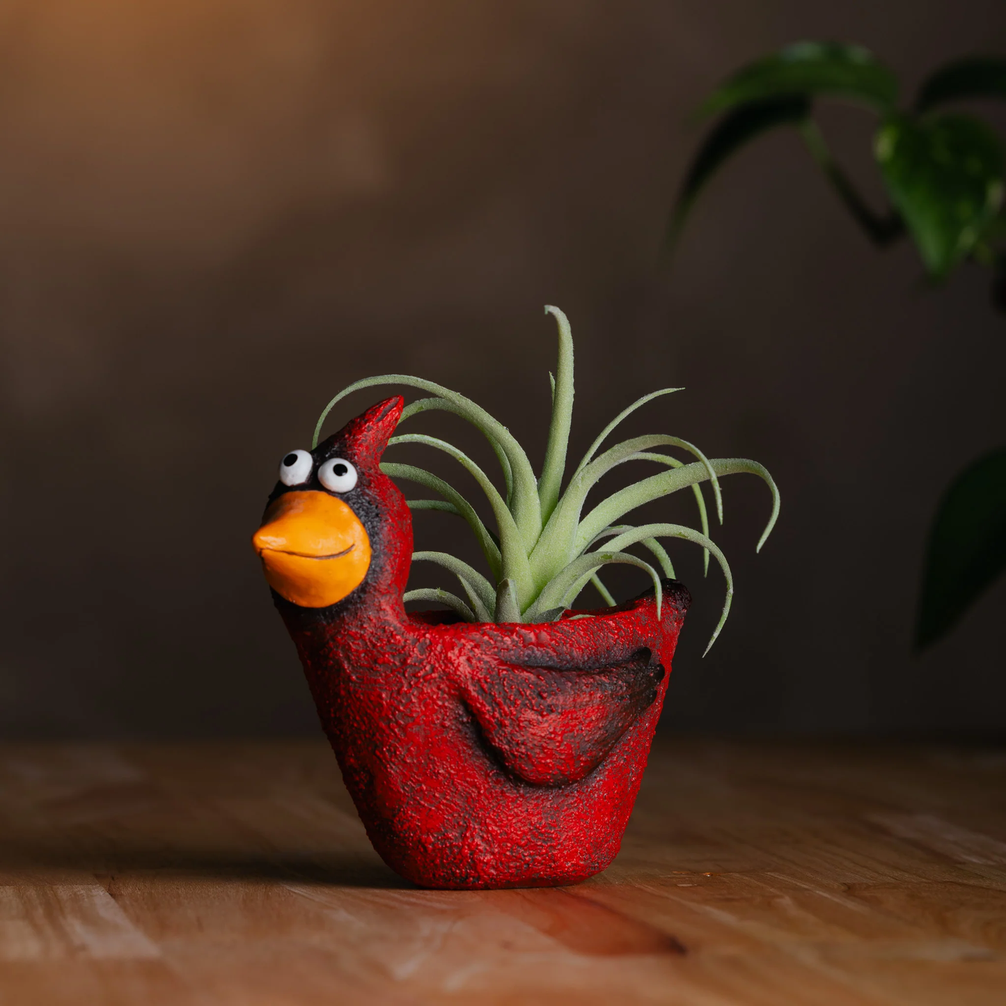 Blaze Cardinal Planter