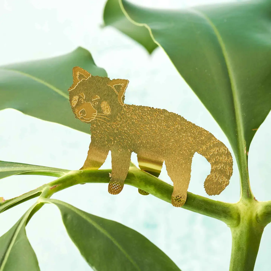 Plant Decoration - Red Panda