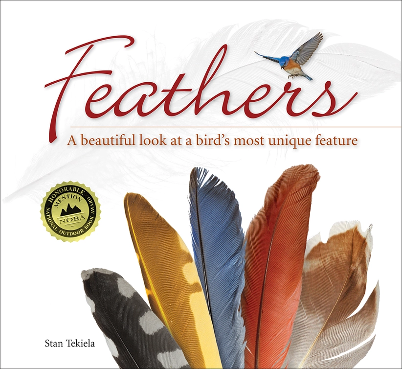 Feathers Book