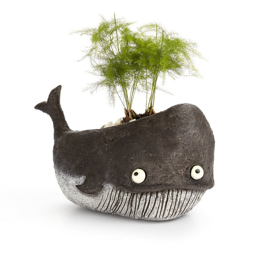 Goliath Whale Planter